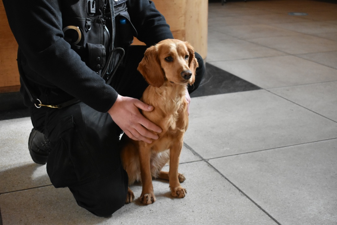Police Dog Beans visits the Bon Accord Baths